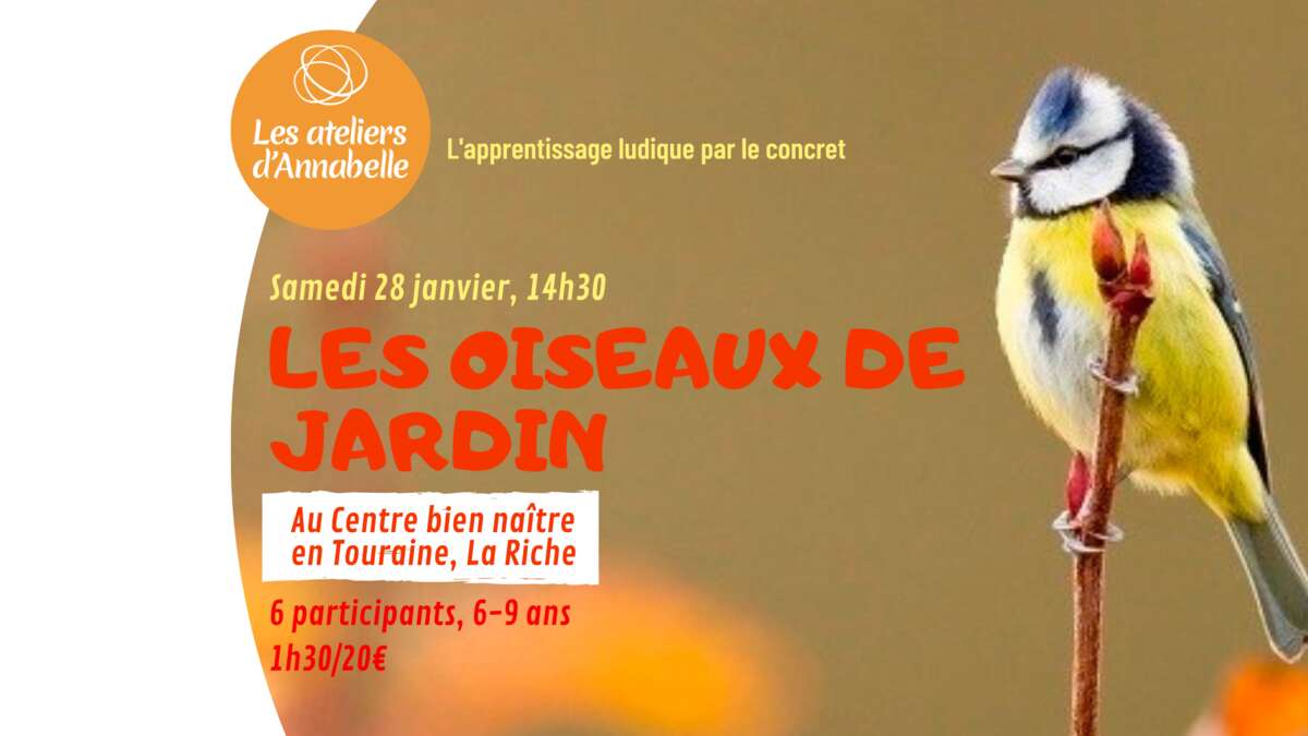 Illustration Les oiseaux de jardin