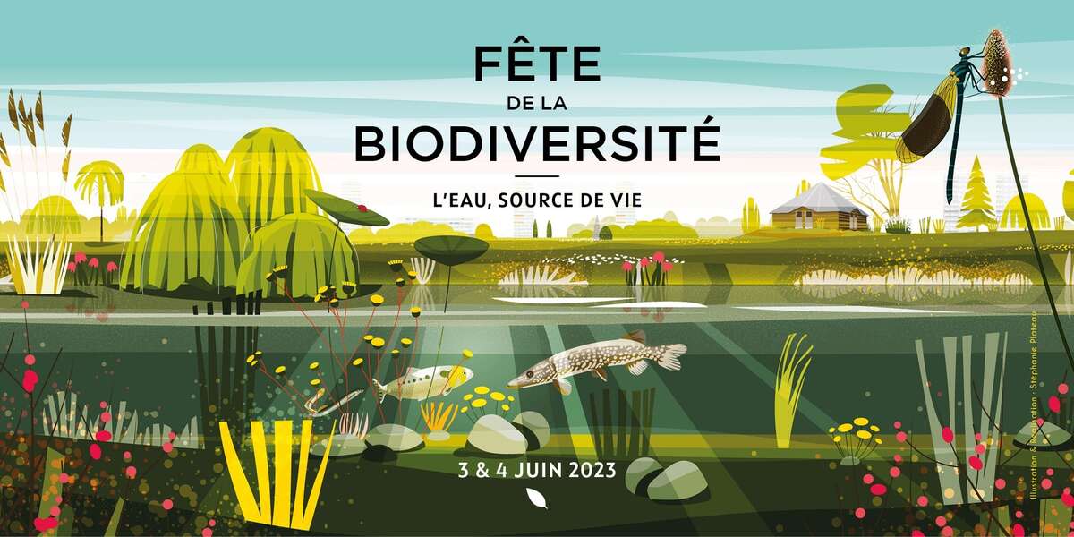 Illustration Fête de la biodiversité