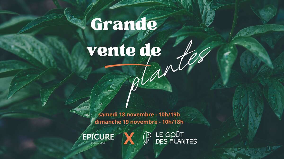Photo de l'événement Grande Vente de Plantes chez Epicure Social Club X Le goût des plantes à Epicure Social Club
