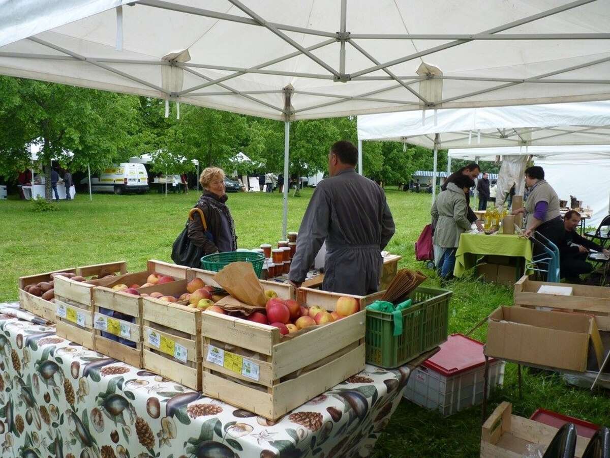 Photo de l'événement L' AMAP La Riche en Bio Fête ses 10 ans Marché Bio 2019 à Parc public du prieuré de St Cosme