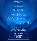 Illustration Neko Light Orchestra - Echos de la vallée du vent