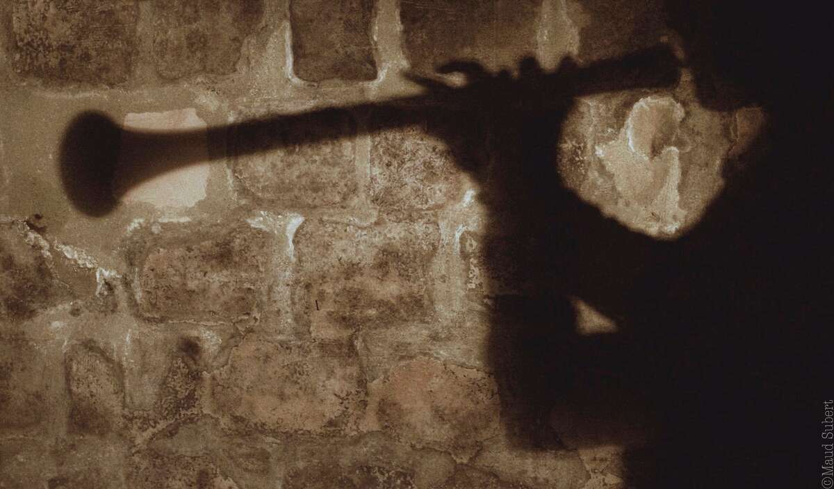 Photo de l'événement Le Souffle Gothique à Arcades Institute