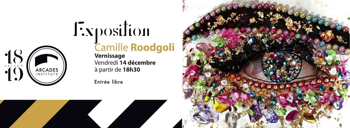 Photo de l'événement Vernissage de l'exposition Camille Roodgoli à Arcades Institute