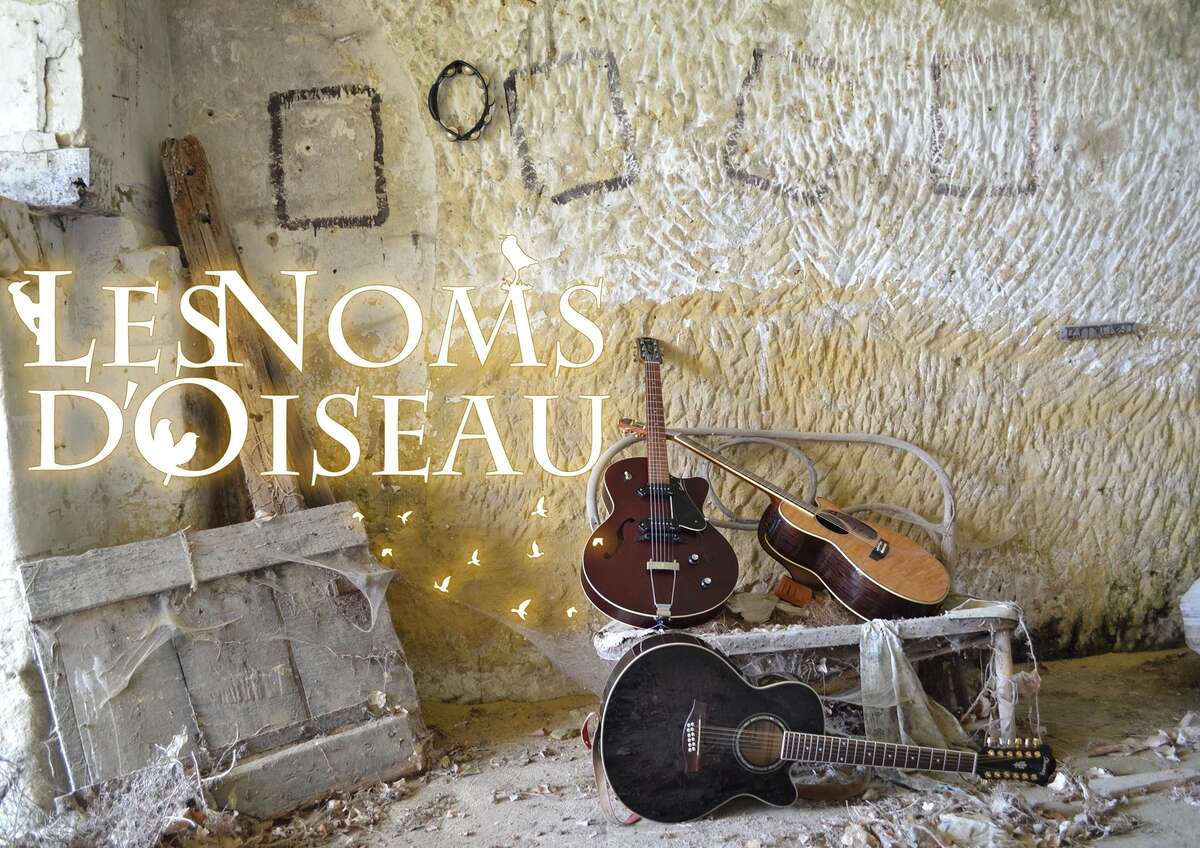 Photo de l'événement Les Noms d'Oiseau en concert ! à 84 Rue Auguste Chevallier, 37000 Tours