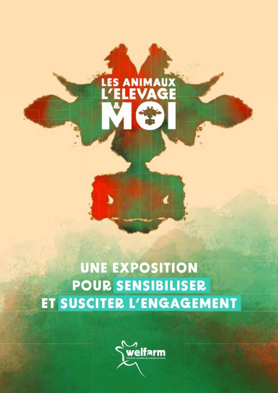 Illustration Les animaux, l’élevage et moi