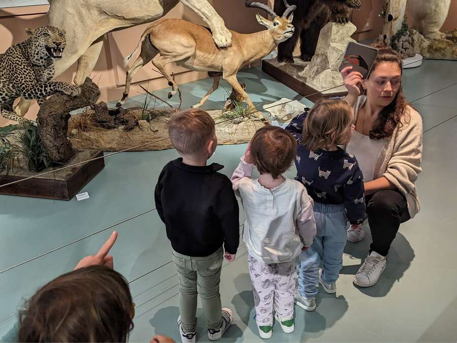 Illustration Les tout-petits au Muséum. 2-3 ans