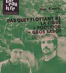 POOLIDOR + LA CIGUË + GROS SABOT PARQUET FLOTTANT #1 image au format JPG