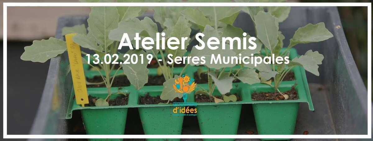 Photo de l'événement Atelier Semis : Serres Municipales à Serres Municipales Saint Pierre des Corps