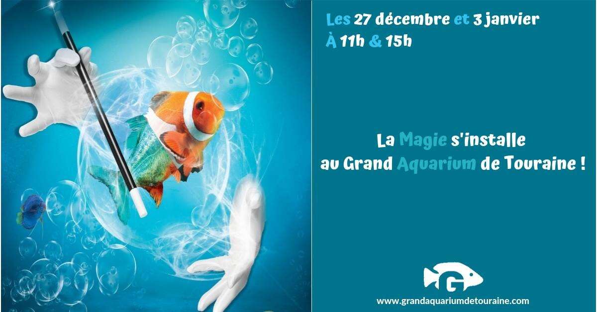 Photo de l'événement La Magie s'invite au Grand Aquarium de Touraine ! à Grand Aquarium de Touraine