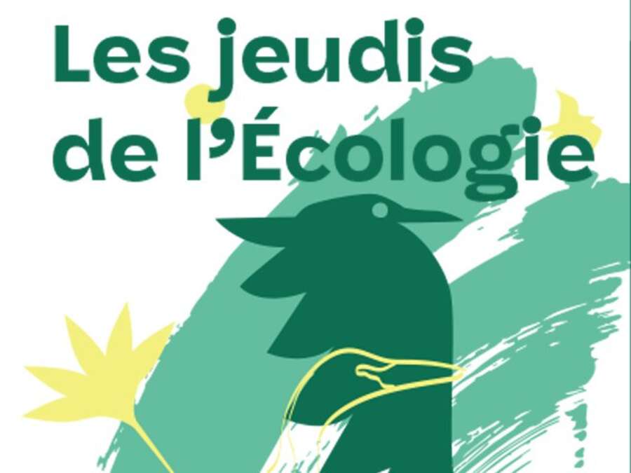 Illustration Les Jeudis de l'Ecologie