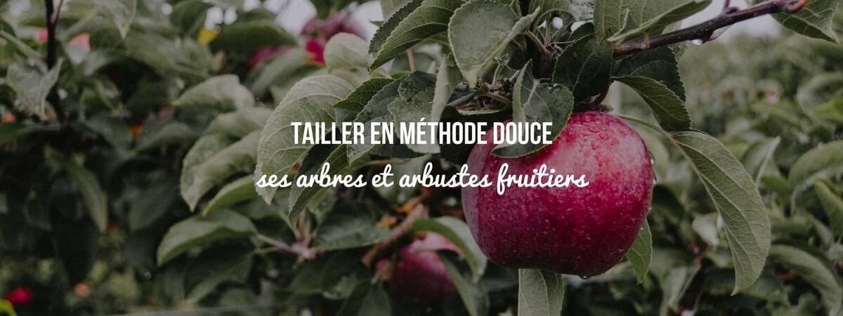 Photo de l'événement Formation : "Tailler en méthode douce ses arbres fruitiers" à Fermes d'Avenir