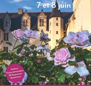 Illustration Fête des Roses au Château du Rivau (37)