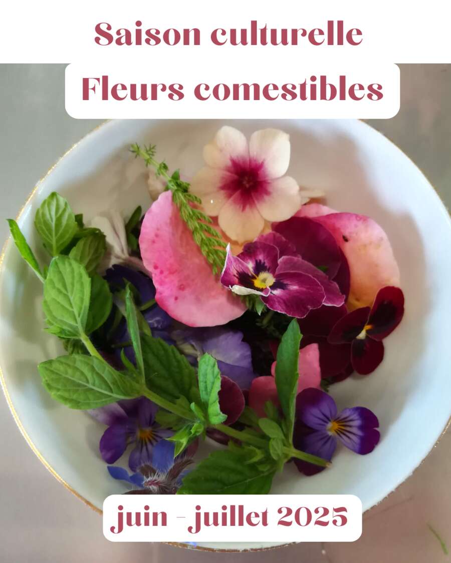Photo de l'événement Atelier cuisine Fleurs comestibles et plantes sauvages à WiTM Maison de la Gloriette · Tours (Tours_Gloriette)