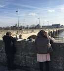Illustration Visite thématique : Les Bords de Loire
