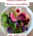 Illustration Dégustation commentée Les fleurs comestibles