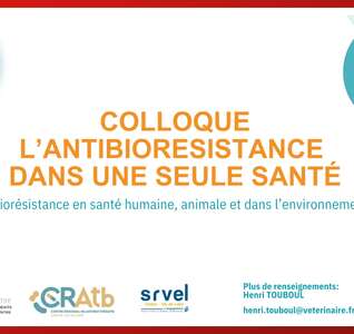 Illustration Colloque l'antibiorésistance, dans une seule santé