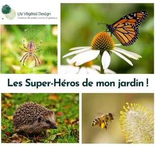 Illustration Atelier "Les Supers-héros de mon jardin"