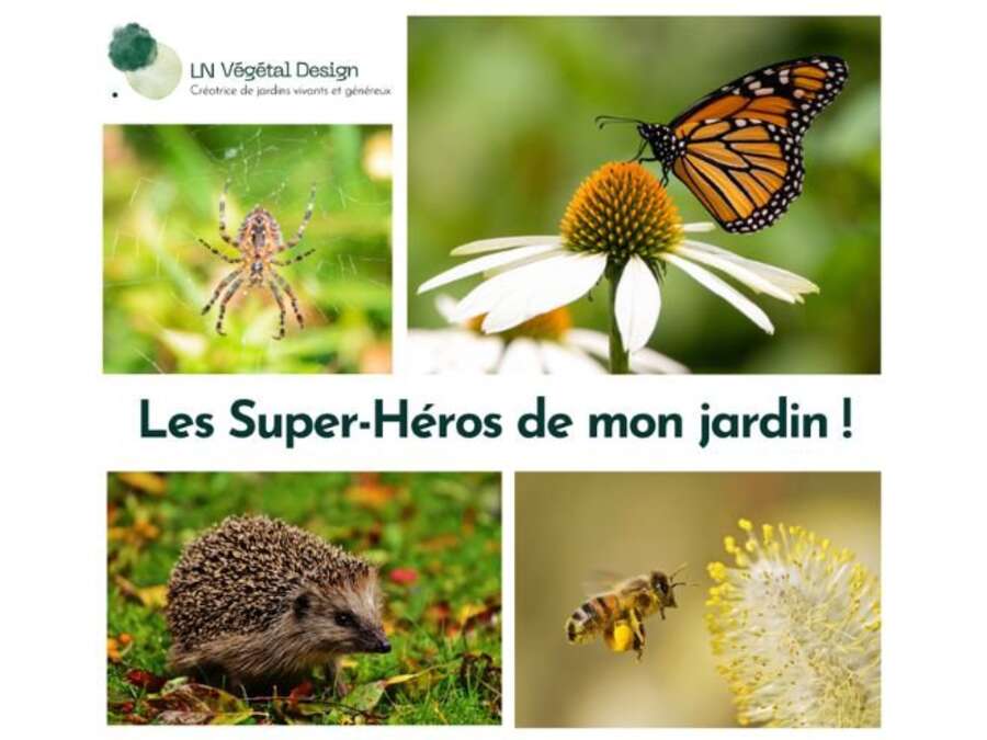 Photo de l'événement Atelier "Les Supers-héros de mon jardin" à 7 Rue des Bordiers 37100 Tours, France