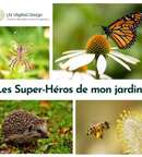 Illustration Atelier "Les Supers-héros de mon jardin"