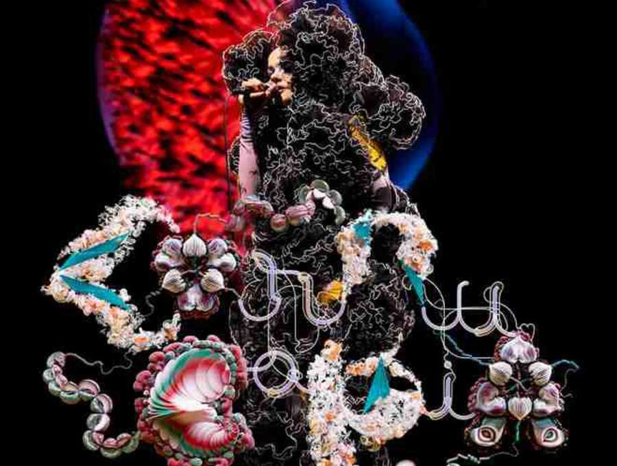 Photo de l'événement Concert au cinéma : Björk à Cinéma CGR centre