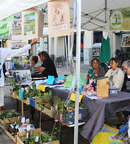 Marché bio et local image au format JPG