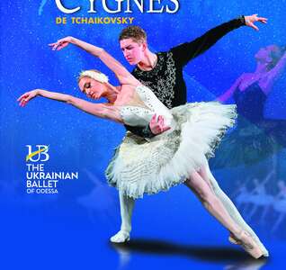 Illustration LE LAC DES CYGNES - Sofia City Ballet