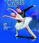 Illustration LE LAC DES CYGNES - Sofia City Ballet