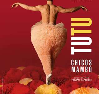 Illustration Tutu - Chicos Mambo