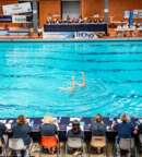 Illustration Championnat de Natation Artistique N2 Avenir et Seniors