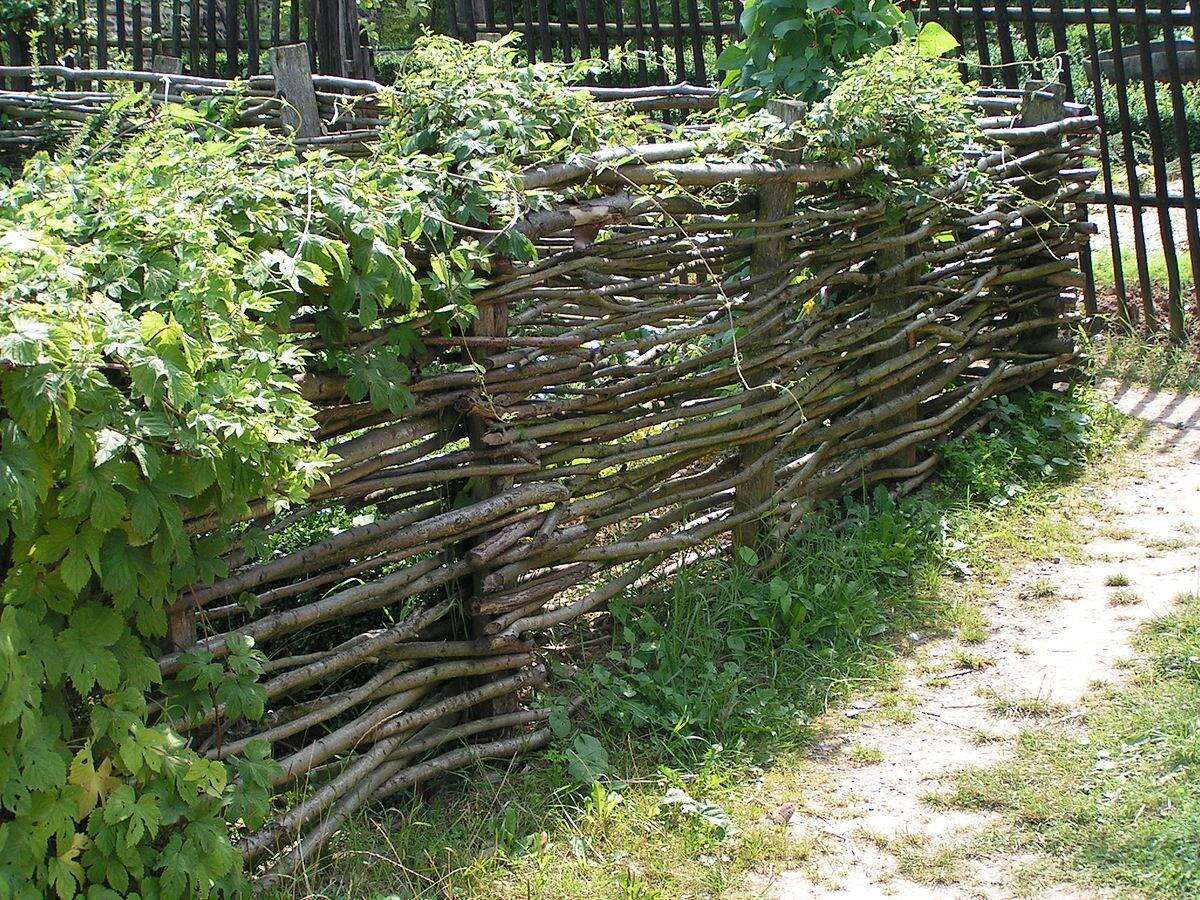 Photo de l'événement Atelier participatif : Plessage en noisetiers ! à Graines de Loire
