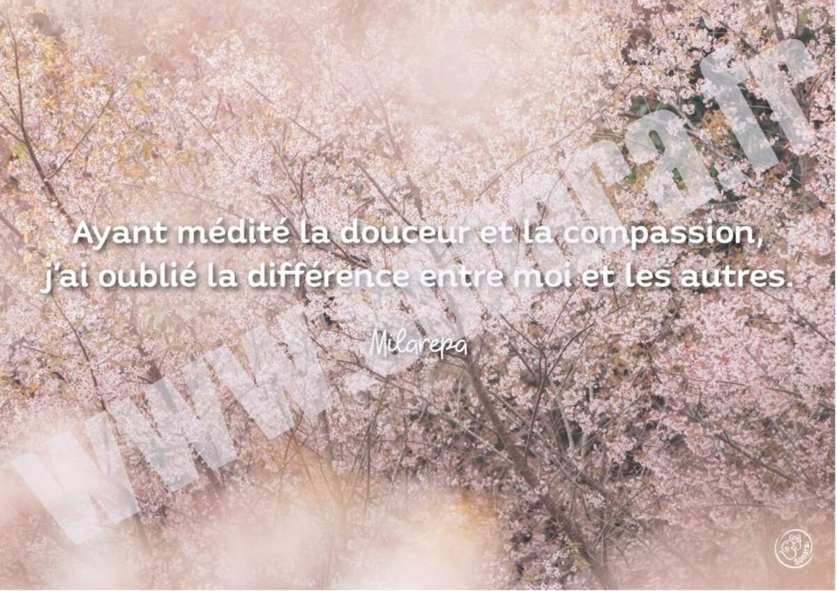 Photo de l'événement Pause détente gourmande 22,5 € - Vendredi 8 février à Salon de thé " La Fée Gourmande "