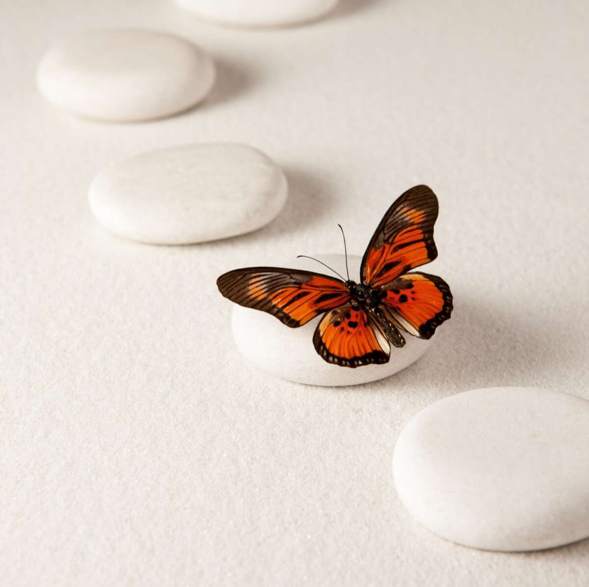 Photo de l'événement Moment Cocooning à Une Voie Vers Soi