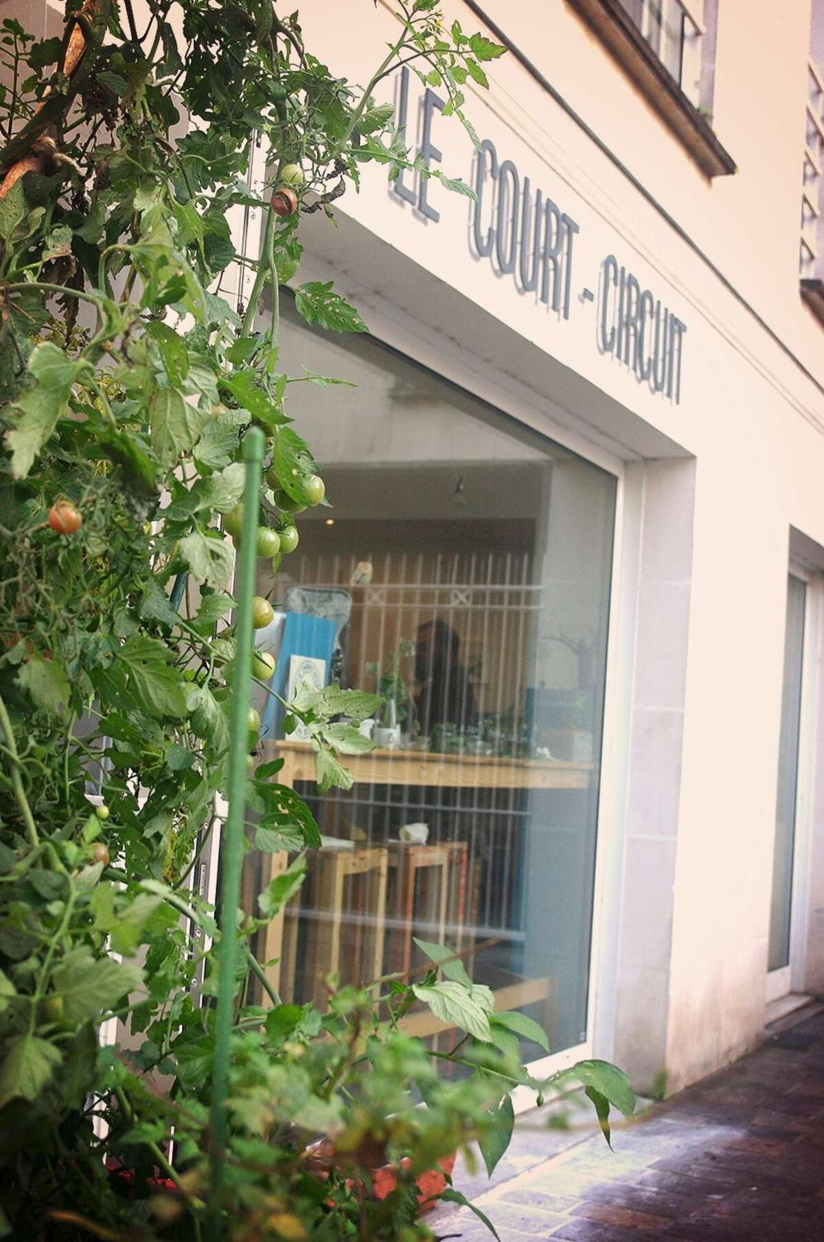 Photo de l'événement Conférence : La permaculture peut-elle vraiment produire plus ? à Le Court Circuit Tours