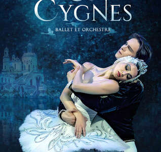 Illustration LAC DES CYGNES