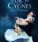 Illustration LAC DES CYGNES
