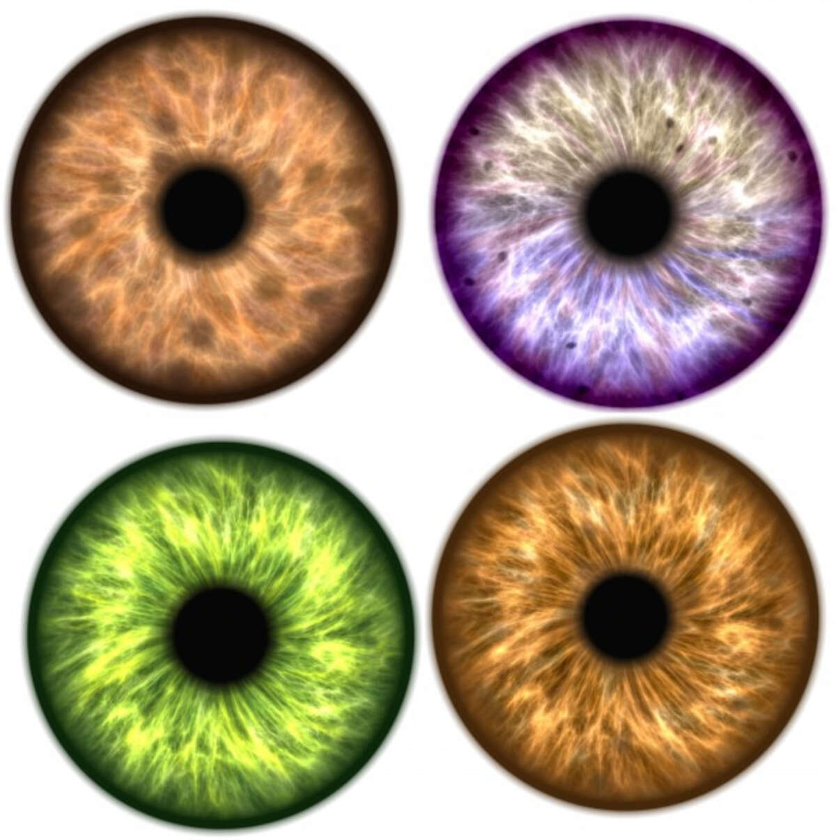 Photo de l'événement NNC aux 3 Rois - Quatres' Eyes à Les Trois Rois