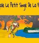 Illustration Zingalé, le petit Singe de la Forêt
