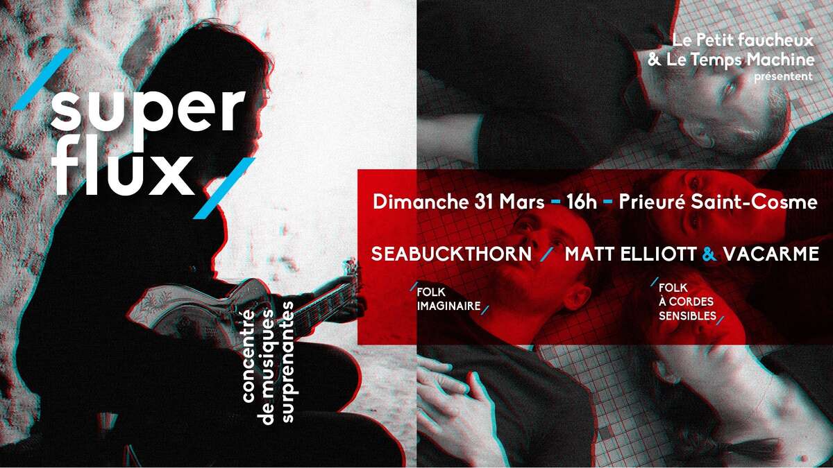 Photo de l'événement Super Flux #6 / Matt Elliott & Vacarme + Seabuckthorn à Demeure de Ronsard - Prieuré Saint-Cosme