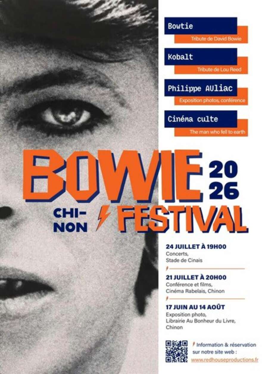 Photo de l'événement Chinon Bowie Festival à Stade de football de Cinais / Cinéma le Rabelais / Librairie Au Bonheur du livre