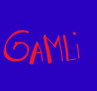 Illustration GAMLI session