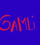 Illustration GAMLI session