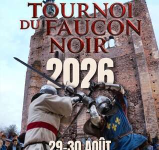 Illustration LE GRAND RETOUR DU TOURNOI DU FAUCON NOIR 
