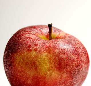 Illustration Atelier « Ma pomme »
