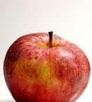Illustration Atelier « Ma pomme »