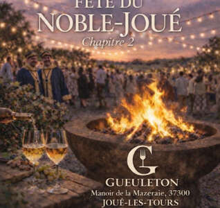 Illustration Fête du Noble Joué