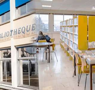 Illustration Biblis en folie : la bibliothèque des Rives du Cher dans son quartier