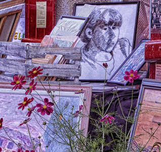 Illustration Café des arts - La Belle Poule