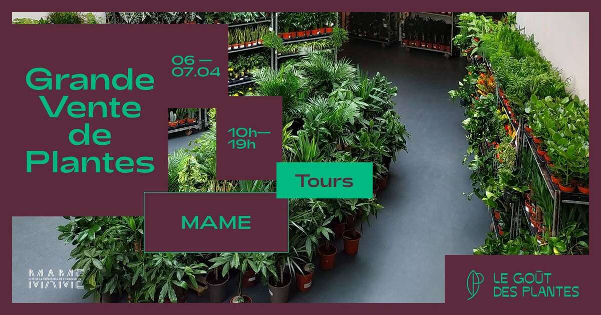 Photo de l'événement Grande Vente de Plantes dès 2€! à MAME