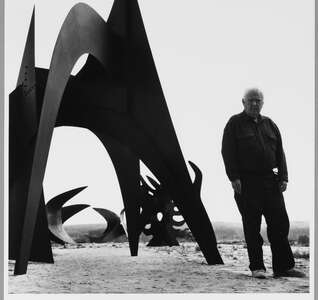 Illustration [CCC OD LEPASS] visite commentée · calder au cœur de la france