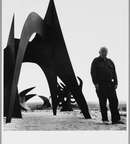 Illustration [CCC OD LEPASS] visite commentée · calder au cœur de la france